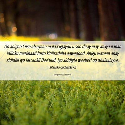 Picture 06 - Muujintii 22:16 SOM - Oo anigoo Ciise ah ayaan malaa'igtaydii u soo - Bible Verse Picture