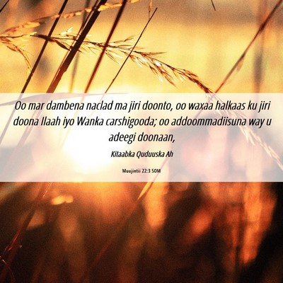 Picture 06 - Muujintii 22:3 SOM - Oo mar dambena naclad ma jiri doonto, oo waxaa - Bible Verse Picture