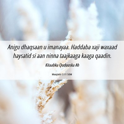 Picture 06 - Muujintii 3:11 SOM - Anigu dhaqsaan u imanayaa. Haddaba xaji waxaad - Bible Verse Picture