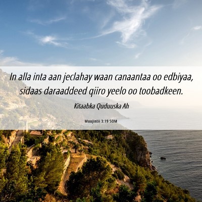Picture 06 - Muujintii 3:19 SOM - In alla inta aan jeclahay waan canaantaa oo - Bible Verse Picture