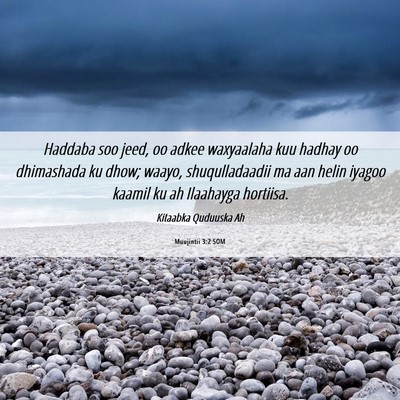 Picture 06 - Muujintii 3:2 SOM - Haddaba soo jeed, oo adkee waxyaalaha kuu hadhay - Bible Verse Picture
