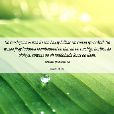 Picture 06 - Muujintii 4:5 SOM - Oo carshigiina waxaa ka soo baxay hillaac iyo - Bible Verse Picture