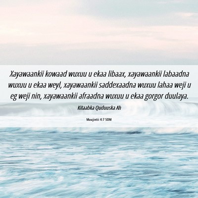 Picture 06 - Muujintii 4:7 SOM - Xayawaankii kowaad wuxuu u ekaa libaax, - Bible Verse Picture
