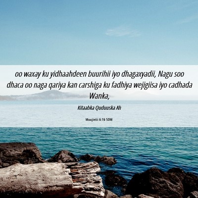 Picture 06 - Muujintii 6:16 SOM - oo waxay ku yidhaahdeen buurihii iyo dhagaxyadii, - Bible Verse Picture