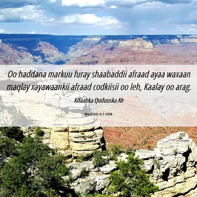 Picture 06 - Muujintii 6:7 SOM - Oo haddana markuu furay shaabaddii afraad ayaa - Bible Verse Picture