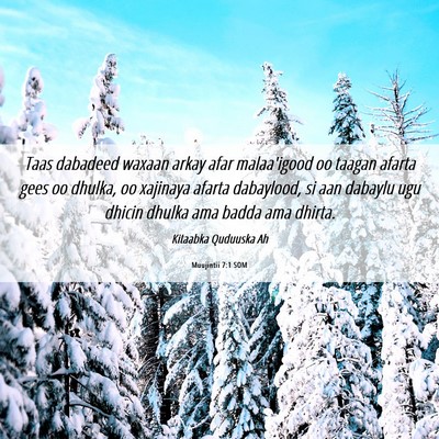 Picture 06 - Muujintii 7:1 SOM - Taas dabadeed waxaan arkay afar malaa'igood oo - Bible Verse Picture