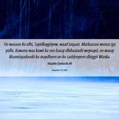 Picture 06 - Muujintii 7:14 SOM - Oo waxaan ku idhi, Sayidkaygiiyow, waad taqaan. - Bible Verse Picture