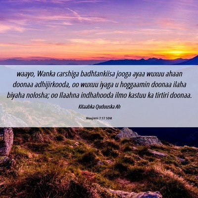 Picture 06 - Muujintii 7:17 SOM - waayo, Wanka carshiga badhtankiisa jooga ayaa - Bible Verse Picture