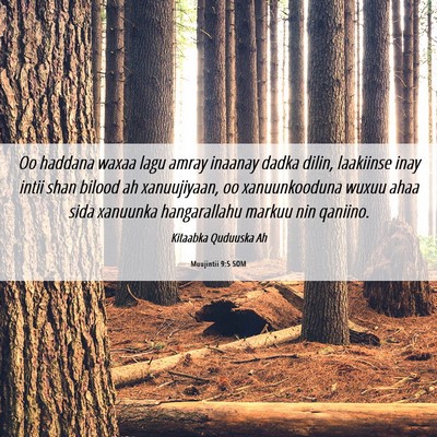 Picture 06 - Muujintii 9:5 SOM - Oo haddana waxaa lagu amray inaanay dadka dilin, - Bible Verse Picture