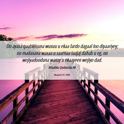 Picture 06 - Muujintii 9:7 SOM - Oo ayaxa qaabkiisuna wuxuu u ekaa fardo dagaal - Bible Verse Picture