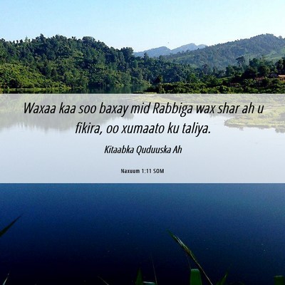 Picture 06 - Naxuum 1:11 SOM - Waxaa kaa soo baxay mid Rabbiga wax shar ah u - Bible Verse Picture