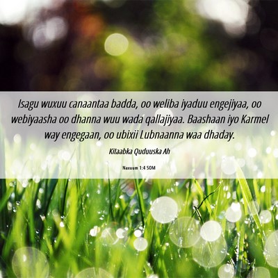 Picture 06 - Naxuum 1:4 SOM - Isagu wuxuu canaantaa badda, oo weliba iyaduu - Bible Verse Picture
