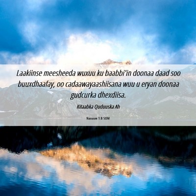 Picture 06 - Naxuum 1:8 SOM - Laakiinse meesheeda wuxuu ku baabbi'in doonaa - Bible Verse Picture