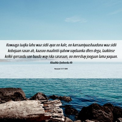Picture 06 - Naxuum 3:17 SOM - Kuwaaga taajka lahu waa sidii ayax oo kale, oo - Bible Verse Picture