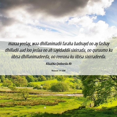 Picture 06 - Naxuum 3:4 SOM - maxaa yeelay, waa dhillanimadii faraha badnayd oo - Bible Verse Picture