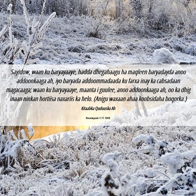 Picture 06 - Nexemyaah 1:11 SOM - Sayidow, waan ku baryayaaye, hadda dhegahaagu ha - Bible Verse Picture