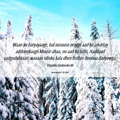 Picture 06 - Nexemyaah 1:8 SOM - Waan ku baryayaaye, bal xusuuso eraygii aad ku - Bible Verse Picture