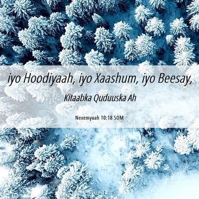 Picture 06 - Nexemyaah 10:18 SOM - iyo Hoodiyaah, iyo Xaashum, iyo - Bible Verse Picture
