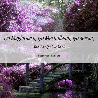Picture 06 - Nexemyaah 10:20 SOM - iyo Magfiicaash, iyo Meshullaam, iyo - Bible Verse Picture