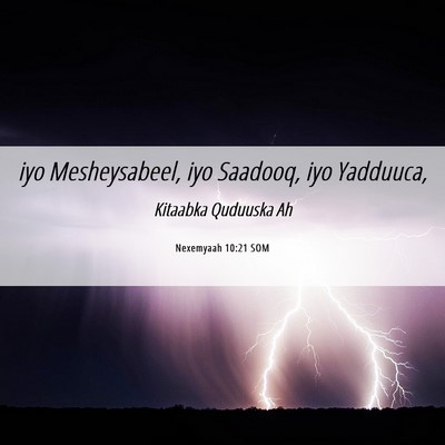 Picture 06 - Nexemyaah 10:21 SOM - iyo Mesheysabeel, iyo Saadooq, iyo - Bible Verse Picture