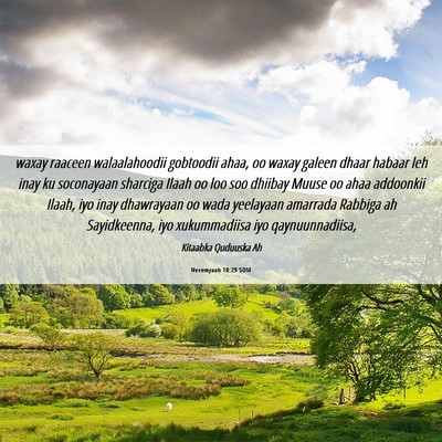 Picture 06 - Nexemyaah 10:29 SOM - waxay raaceen walaalahoodii gobtoodii ahaa, oo - Bible Verse Picture