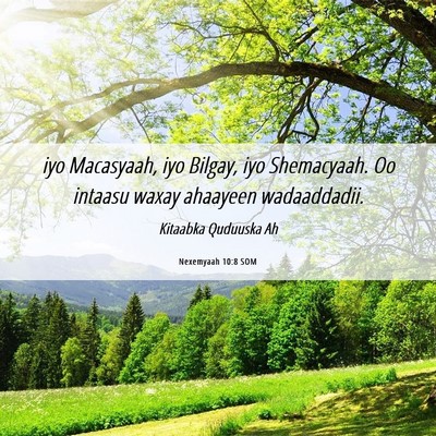 Picture 06 - Nexemyaah 10:8 SOM - iyo Macasyaah, iyo Bilgay, iyo Shemacyaah. Oo - Bible Verse Picture