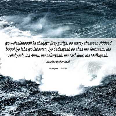 Picture 06 - Nexemyaah 11:12 SOM - iyo walaalahoodii ka shaqayn jiray guriga, oo - Bible Verse Picture