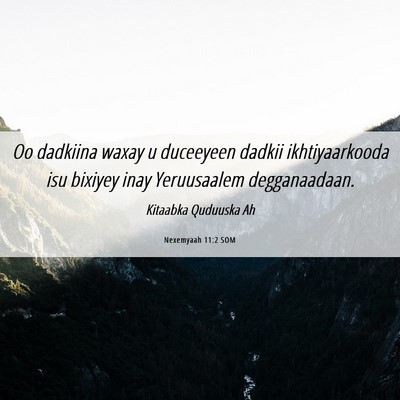 Picture 06 - Nexemyaah 11:2 SOM - Oo dadkiina waxay u duceeyeen dadkii - Bible Verse Picture