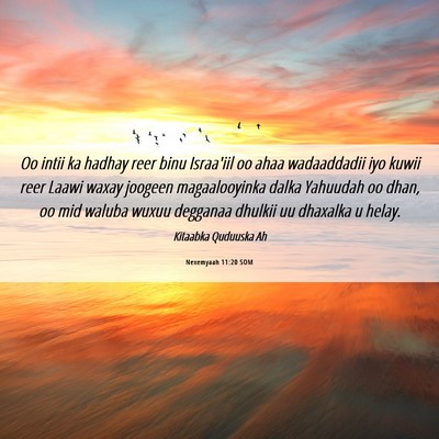 Picture 06 - Nexemyaah 11:20 SOM - Oo intii ka hadhay reer binu Israa'iil oo ahaa - Bible Verse Picture