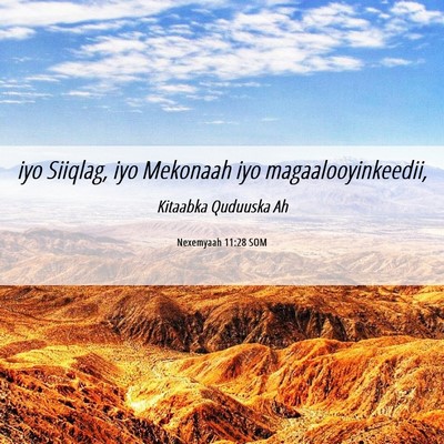 Picture 06 - Nexemyaah 11:28 SOM - iyo Siiqlag, iyo Mekonaah iyo - Bible Verse Picture