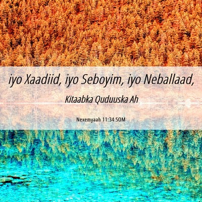 Picture 06 - Nexemyaah 11:34 SOM - iyo Xaadiid, iyo Seboyim, iyo - Bible Verse Picture