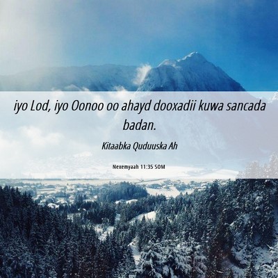 Picture 06 - Nexemyaah 11:35 SOM - iyo Lod, iyo Oonoo oo ahayd dooxadii kuwa sancada - Bible Verse Picture