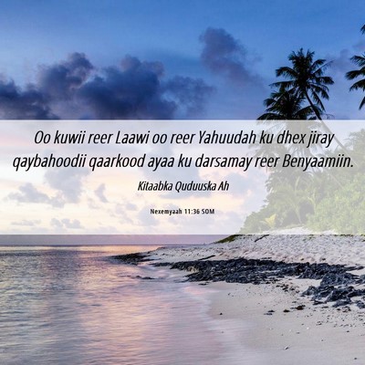 Picture 06 - Nexemyaah 11:36 SOM - Oo kuwii reer Laawi oo reer Yahuudah ku dhex - Bible Verse Picture