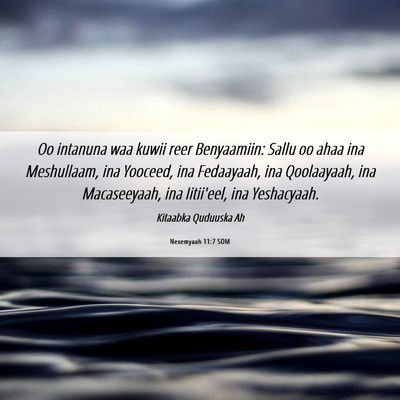 Picture 06 - Nexemyaah 11:7 SOM - Oo intanuna waa kuwii reer Benyaamiin: Sallu oo - Bible Verse Picture
