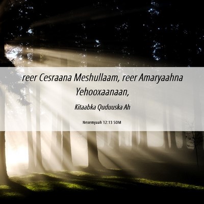 Picture 06 - Nexemyaah 12:13 SOM - reer Cesraana Meshullaam, reer Amaryaahna - Bible Verse Picture