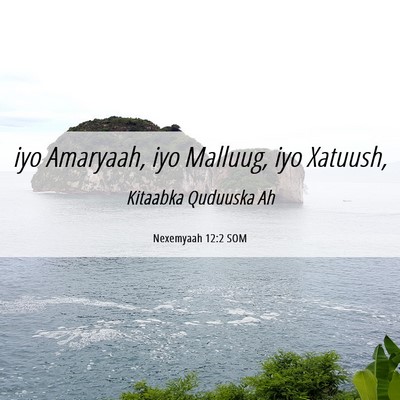 Picture 06 - Nexemyaah 12:2 SOM - iyo Amaryaah, iyo Malluug, iyo - Bible Verse Picture