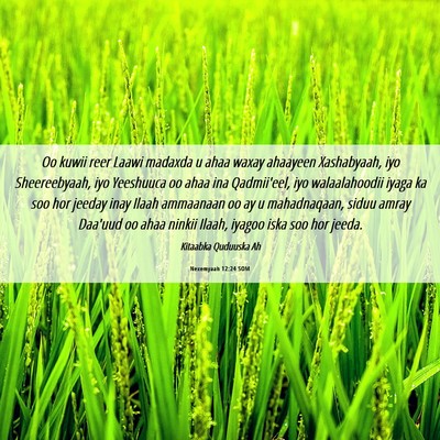 Picture 06 - Nexemyaah 12:24 SOM - Oo kuwii reer Laawi madaxda u ahaa waxay ahaayeen - Bible Verse Picture
