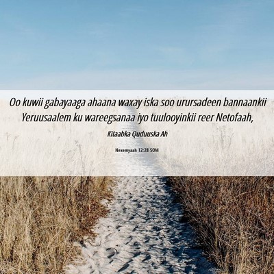 Picture 06 - Nexemyaah 12:28 SOM - Oo kuwii gabayaaga ahaana waxay iska soo - Bible Verse Picture