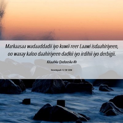 Picture 06 - Nexemyaah 12:30 SOM - Markaasaa wadaaddadii iyo kuwii reer Laawi - Bible Verse Picture