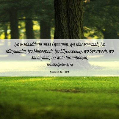 Picture 06 - Nexemyaah 12:41 SOM - iyo wadaaddadii ahaa Elyaaqiim, iyo Macaseeyaah, - Bible Verse Picture