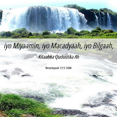 Picture 06 - Nexemyaah 12:5 SOM - iyo Miyaamin, iyo Macadyaah, iyo - Bible Verse Picture