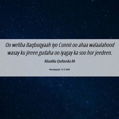 Picture 06 - Nexemyaah 12:9 SOM - Oo weliba Baqbuqyaah iyo Cunnii oo ahaa - Bible Verse Picture
