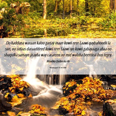 Picture 06 - Nexemyaah 13:10 SOM - Oo haddana waxaan kaloo gartay inaan kuwii reer - Bible Verse Picture
