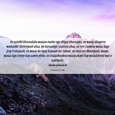 Picture 06 - Nexemyaah 13:13 SOM - Oo qolalkii khasnadaha waxaan madax uga dhigay - Bible Verse Picture