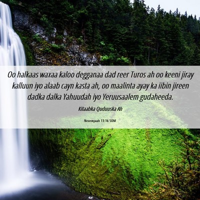 Picture 06 - Nexemyaah 13:16 SOM - Oo halkaas waxaa kaloo degganaa dad reer Turos ah - Bible Verse Picture