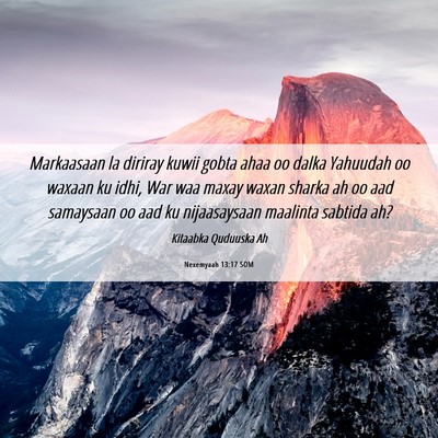 Picture 06 - Nexemyaah 13:17 SOM - Markaasaan la diriray kuwii gobta ahaa oo dalka - Bible Verse Picture