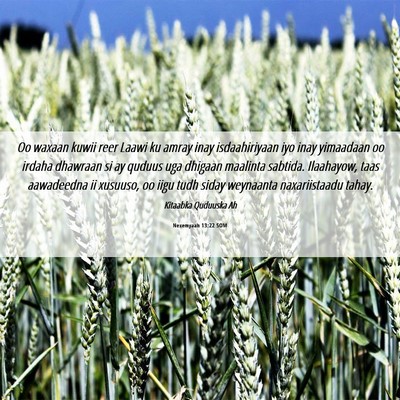 Picture 06 - Nexemyaah 13:22 SOM - Oo waxaan kuwii reer Laawi ku amray inay - Bible Verse Picture