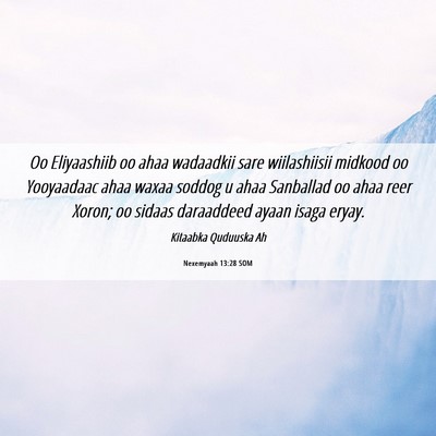 Picture 06 - Nexemyaah 13:28 SOM - Oo Eliyaashiib oo ahaa wadaadkii sare - Bible Verse Picture