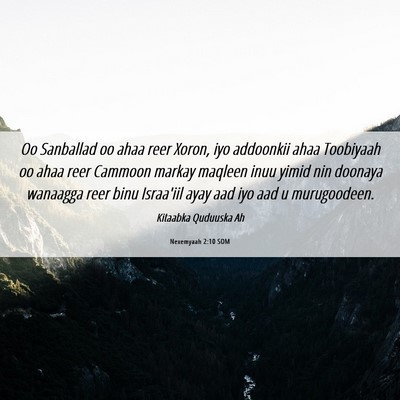 Picture 06 - Nexemyaah 2:10 SOM - Oo Sanballad oo ahaa reer Xoron, iyo addoonkii - Bible Verse Picture