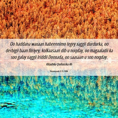 Picture 06 - Nexemyaah 2:15 SOM - Oo haddana waxaan habeennimo tegey xaggii - Bible Verse Picture